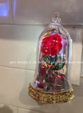 【 訂購 】迪士尼美女與野獸貝兒公主限量 發光插電香薰座 Beauty and the Beast Belle Princess Electric Scent Light Up