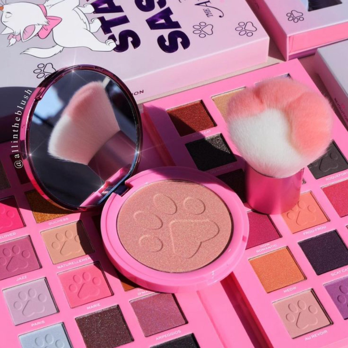 【 現貨 】Marie 瑪麗貓光影 Highlighter