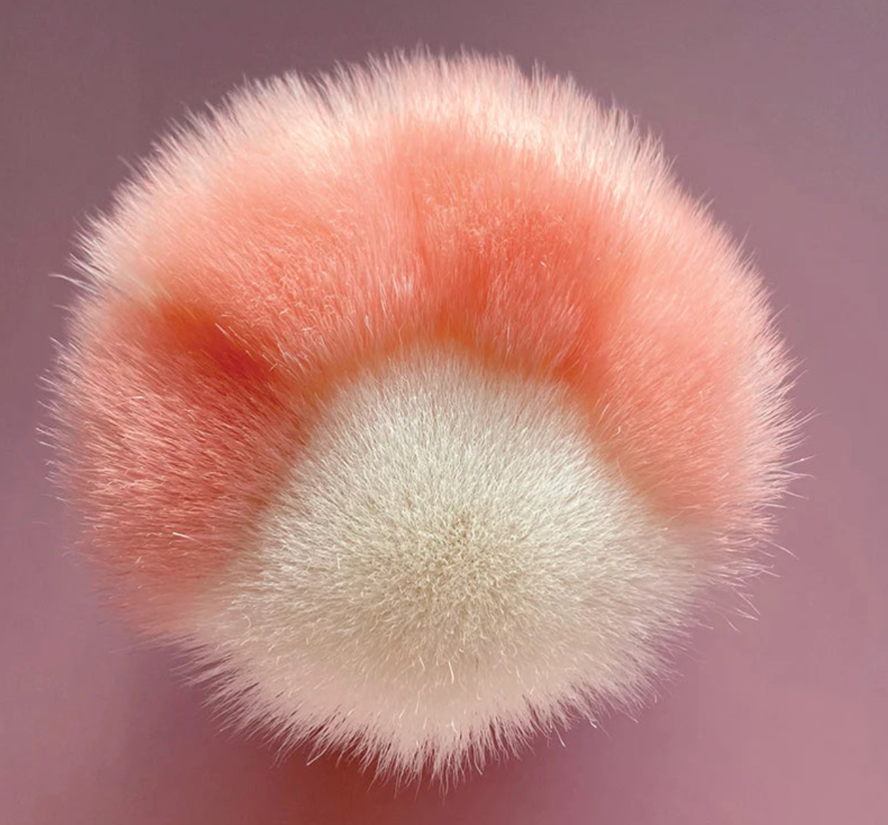 【 現貨 】Marie 瑪麗貓光影胭脂掃 Blush Make up Brush